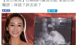 广西二姐前夫爆料视频,揭秘惊人内幕